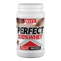 PERFECT 100%WHEY CACAO 450G