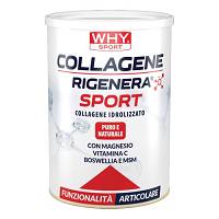 WHYSPORT COLLAGENE RIGEN SPORT