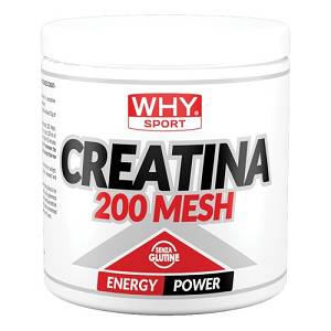 WHYSPORT CREATINA 200 MESH200G