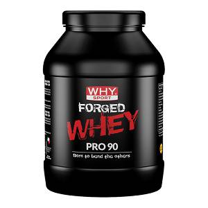 WHYSPORT FORGED WHEY CACAO900G